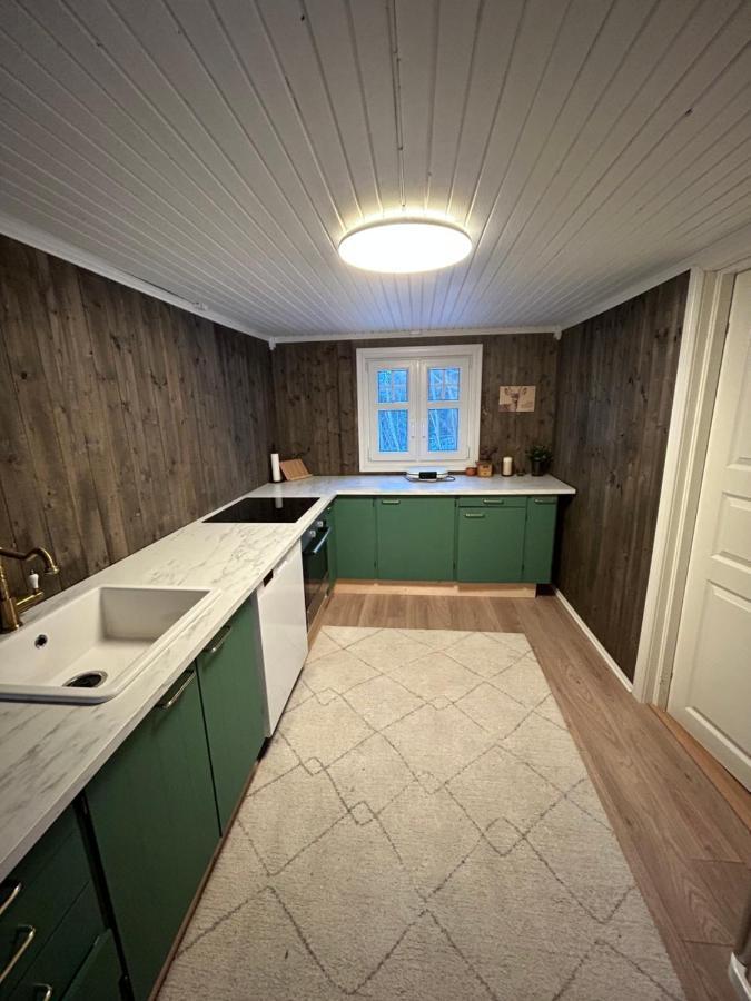 Stange Beautiful Cabin By Mjosa.ヴィラ エクステリア 写真